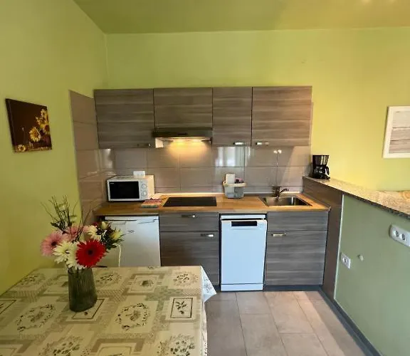 Apartma Juricich 波尔托罗