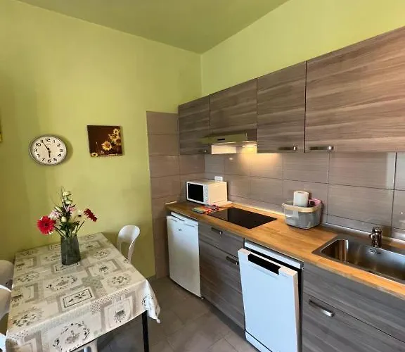 公寓 Apartma Juricich 波尔托罗